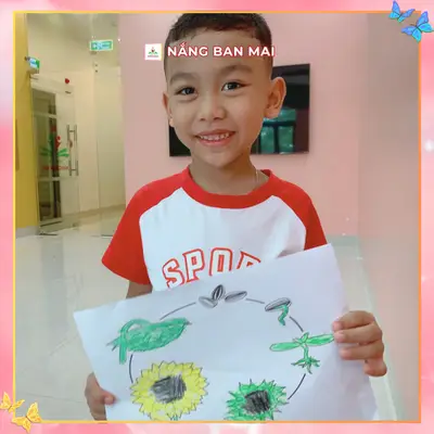 HÀNH TRÌNH NỞ HOA CỦA HƯỚNG DƯƠNG NHÍ – ảnh 5