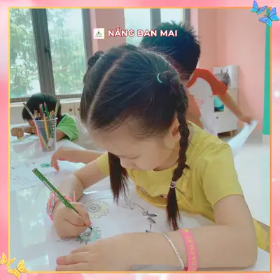 HÀNH TRÌNH NỞ HOA CỦA HƯỚNG DƯƠNG NHÍ – ảnh 1