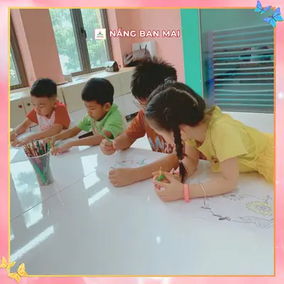 HÀNH TRÌNH NỞ HOA CỦA HƯỚNG DƯƠNG NHÍ – ảnh 7