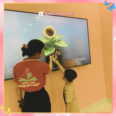 HÀNH TRÌNH NỞ HOA CỦA HƯỚNG DƯƠNG NHÍ – ảnh 9