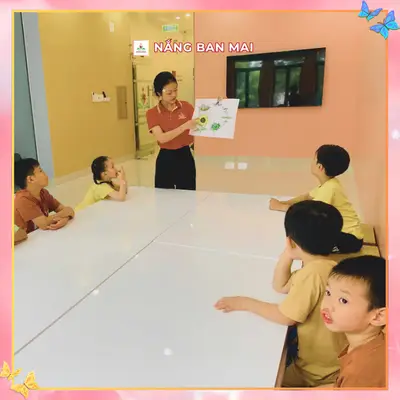 HÀNH TRÌNH NỞ HOA CỦA HƯỚNG DƯƠNG NHÍ – ảnh 3