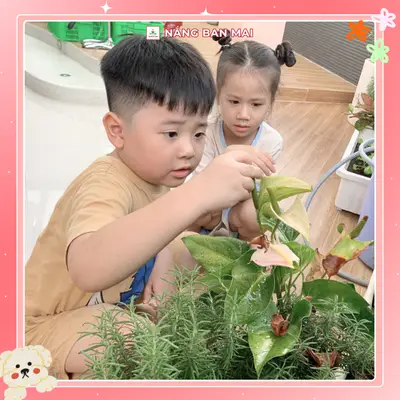 TƯỚI MỘT GIỌT NƯỚC, BÉ GIEO NGÀN YÊU THƯƠNG – ảnh 8