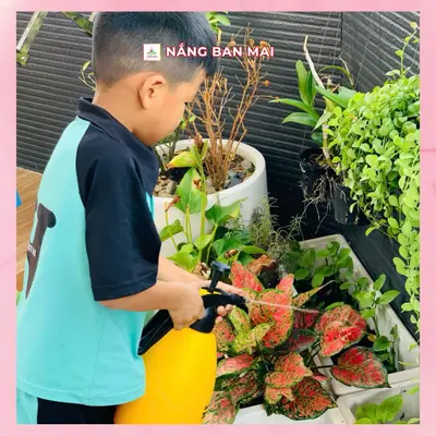 GIỌT NƯỚC TRAO CÂY, YÊU THƯƠNG ĐONG ĐẦY! – ảnh 5